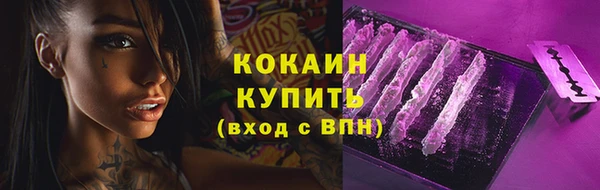 шишки Волосово