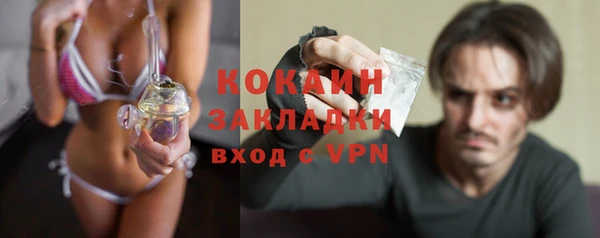 прущие крисы Бородино