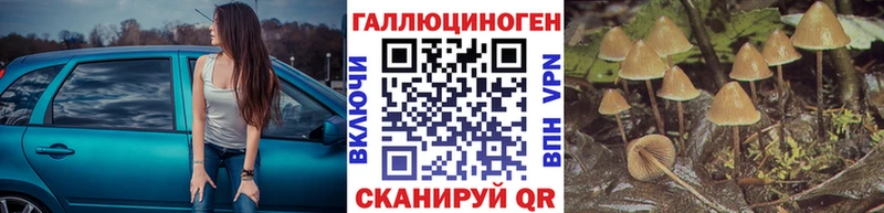 Галлюциногенные грибы мицелий  Новая Усмань 